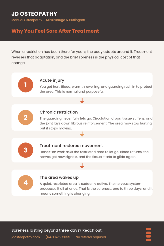Four stages of why you feel sore after osteopathy: acute injury, chronic restriction, treatment restoring movement, and the area becoming active again.