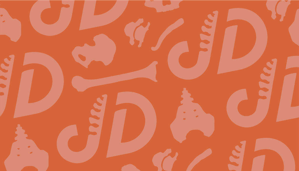 Illustration of Orange JD Osteopathy bone and logo for Back Pain in mississauga