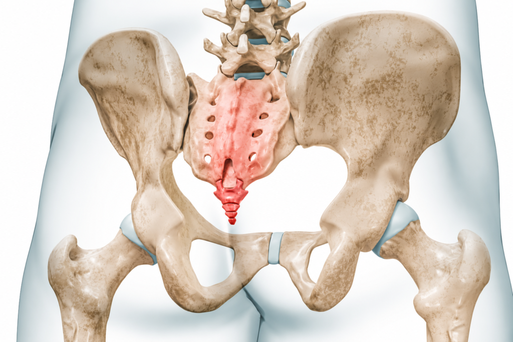 Why Almost Every Pelvic Pain and Sacral Problem Starts Somewhere Else 1 Image of a pelvic pain and sacral pain shaded red to show painful spot